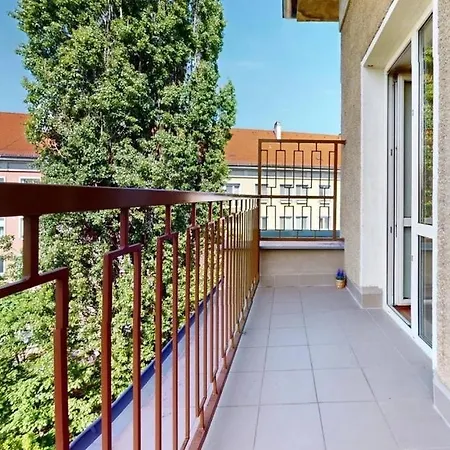 New Bright & Quiet Floor *