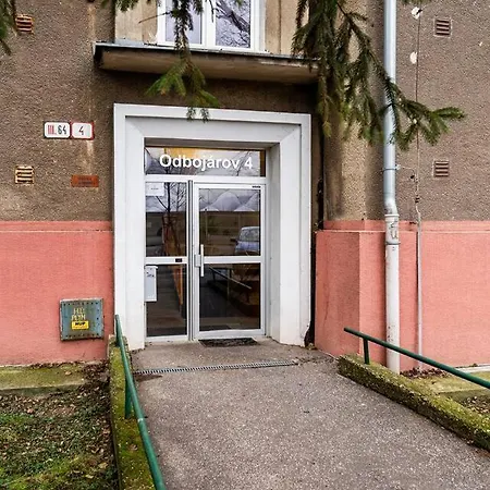 Apartment New Bright & Quiet Floor *